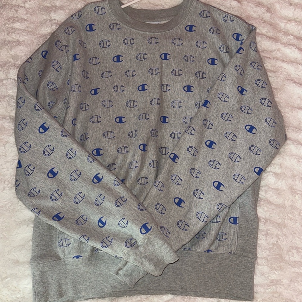 Champion sweater (L)